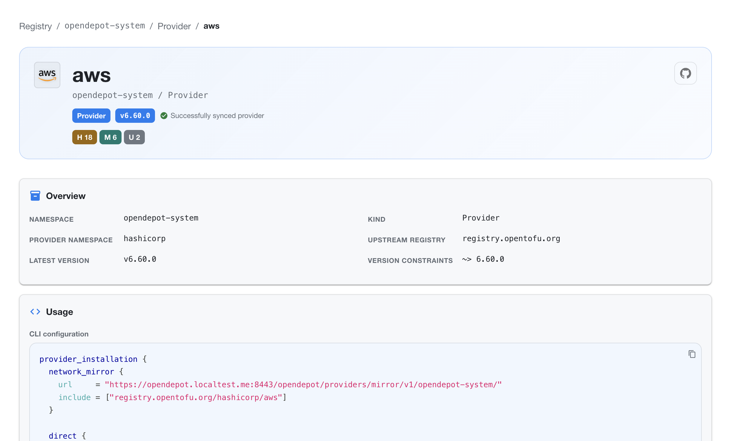 OpenDepot Workshop Provider Details page showing provider status, overview metadata, and CLI configuration